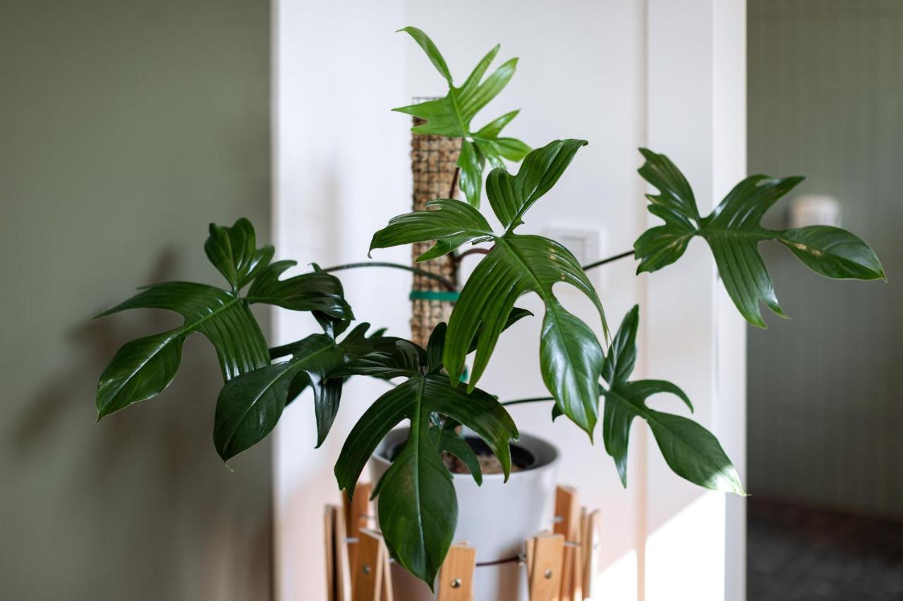 Urban Jungle Apartments Виена Екстериор снимка