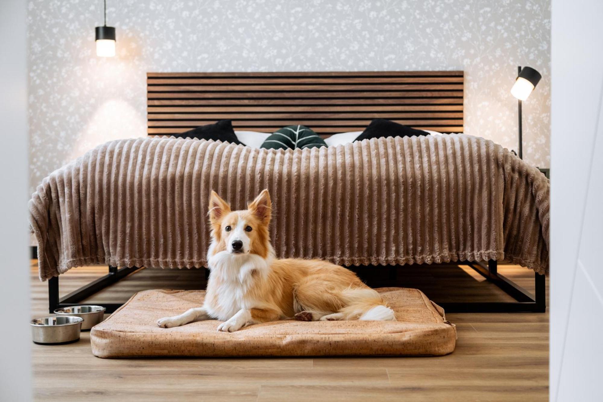 Urban Jungle Apartments Виена Екстериор снимка