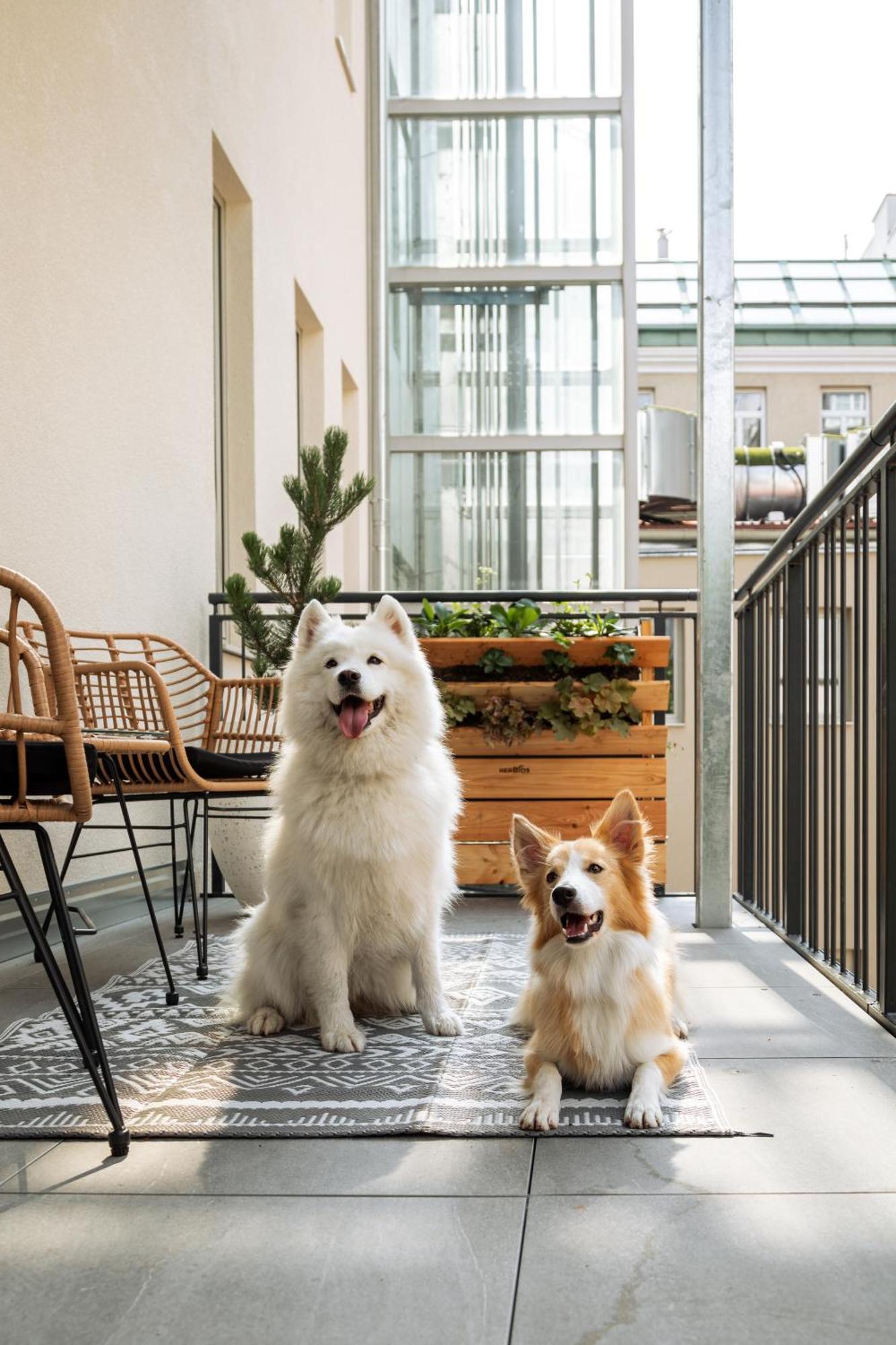 Urban Jungle Apartments Виена Екстериор снимка